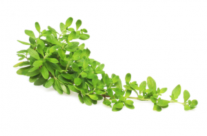 Aceites esencialesa